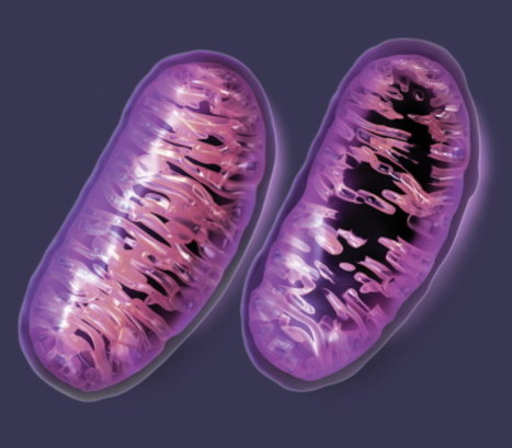 Thanks Big Pharma for the Mitochondrial "collateral damage" | Health Supreme | Scoop.it
