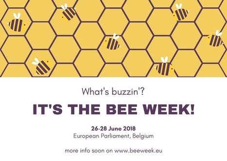 Semaine europ&eacute;enne des abeilles | Vari&eacute;t&eacute;s entomologiques | Scoop.it