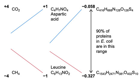 Evolutionary oxidation of proteins in Earth&rsquo;s history | Ncm | RMH | Scoop.it