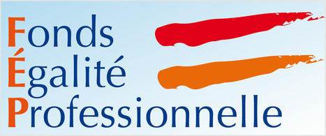 Appel à projets auprès du fonds en faveur de l'égalité professionnelle (FEP) 2022 · demarches-simplifiees.fr | Veille juridique du CDG13 | Scoop.it