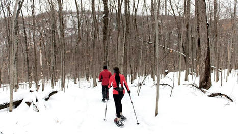 Aires prot&eacute;g&eacute;es: une coalition presse le gouvernement d'en faire plus | Ils parlent de nous ! | Scoop.it