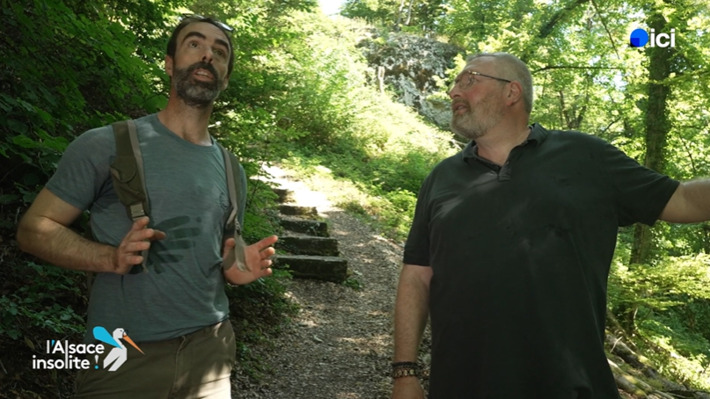 INSOLITE. Cette grotte accueille des nains subtilis&eacute;s dans les jardins | Th&eacute;matique culture et histoire de l'Alsace | Scoop.it