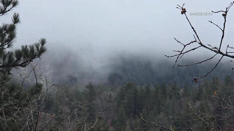 IE Braces for Heavy Rain at Start of New Year - MyNewsLA.com | Operation Deimos | Scoop.it