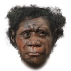 The faces of early man - The Week | Science News | Scoop.it