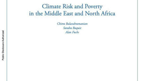Climate risk and poverty in the MIDDLE EAST and NORTH AFRICA  | MED-Amin network | Scoop.it