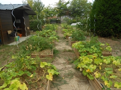 L'écosystème urbain : quelles adaptations locales face au changement global ? | INSU | ESPACES VEGETALISES URBAINS | Scoop.it