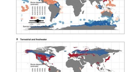 Ces cartes montrent comment l'homme a bouleversé la biodiversité | Biodiversité | Scoop.it