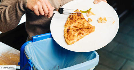 Un milliard de repas sont gaspillés dans le monde chaque jour, selon l'ONU | RSE et Développement Durable | Scoop.it