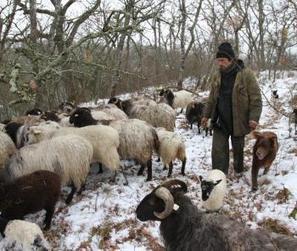 Saint-Lary. Qui en veut autant à Éric, le berger "rustique" ? - La Dépêche | Pastoralisme Ours Loups Lynx | Scoop.it