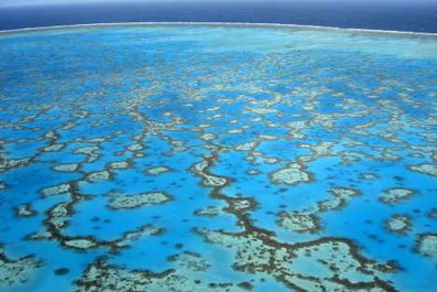 The Ocean Has Issues: 7 Biggest Problems Facing Our Seas, and How to Fix Them | OUR OCEANS NEED US | Scoop.it