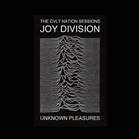 Joy division unknown pleasures vinyl