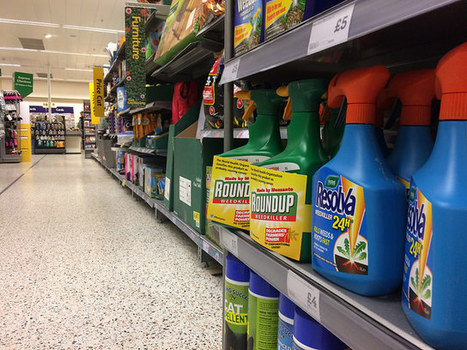 Glyphosate is not carcinogenic, EU agency says | EUROPES | Scoop.it