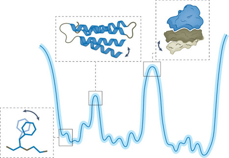 From possibility to precision in macromolecular ensemble prediction | Nmet | RMH | Scoop.it