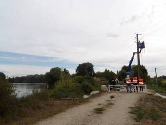 Neutralisation de supports électriques par Enedis pour préserver les cigognes en Camargue | Camargue Nature | Scoop.it