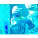Le cholestérol est bon pour la santé, évitez les statines | Bien être,santé, vitalité, environnement | Scoop.it