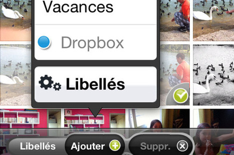 PicItEasy, des photos bien sauvées | icommephoto | Découvrir le monde de la photo | Scoop.it