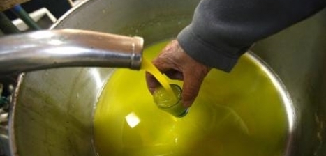 Le virtù nutrizionali e salutistiche dell'olio d'oliva | OLIVE NEWS | Scoop.it
