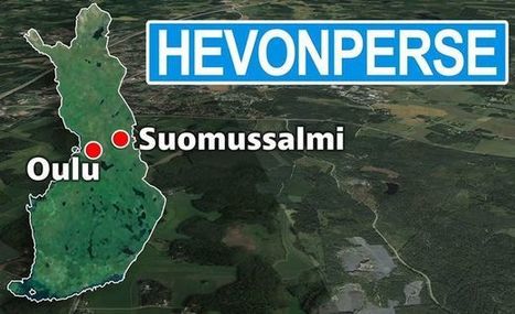 Edis Tatli voitti Tanssii tähtien kanssa -kisan - aikoo jatkaa tanssimista | 1Uutiset - Lukemisen tähden | Scoop.it