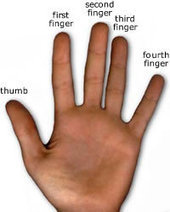 Finger names | The Latin Language | Scoop.it