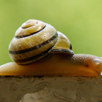 How to Motivate Employees? The Best Answer Ever | Effective Executive Job Search | Scoop.it