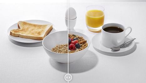 COP26&nbsp;: moins d&rsquo;insectes sur nos pare-brise, c&rsquo;est moins de confiture au petit-d&eacute;jeuner | Vari&eacute;t&eacute;s entomologiques | Scoop.it