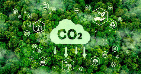25 Things Everyone Can Do to Offset Their Carbon Emissions | Online Marketiing | Scoop.it