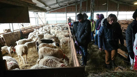 Le Salon à la ferme pour défendre l'agriculture paysanne - Azinat | Pour innover en agriculture | Scoop.it