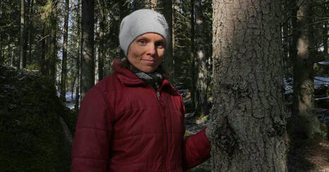 Linnut päättävät grillaatko kesäkuussa  –  äänestä kirjailija Anni Kytömäen valitsemista runoista suosikkiasi | Yle Luonto | Yle | 1Uutiset - Lukemisen tähden | Scoop.it