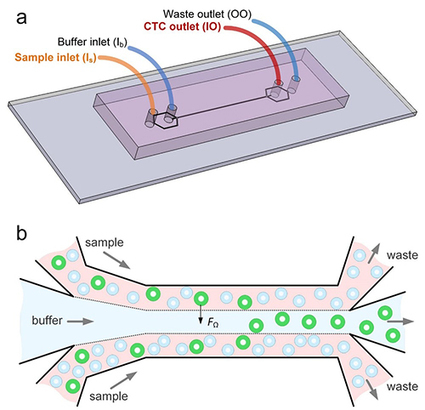 Device Captures Circulating Tumor Cells | Dark Daily | from Flow Cytometry to Cytomics | Scoop.it