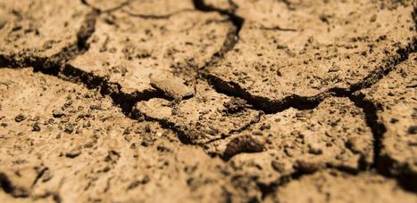 Climat : Pour une agriculture mieux armée contre la sécheresse | Actualités de l'élevage | Scoop.it