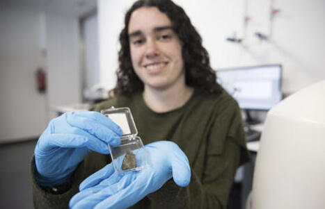 Tinta en el meteorito marciano &mdash; | Ciencia-F&iacute;sica | Scoop.it