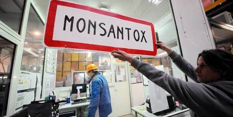 Monsanto: un juge révèle des documents explosifs | GREENEYES | Scoop.it