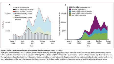 Global Impact of the First Year of COVID-19 Vaccination: a Mathematical Modelling Study | Virus World | Scoop.it