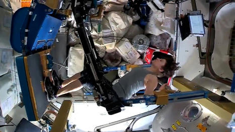 To counter the effect of sitting too much, try the astronaut workout Long hours of sitting are not dissimilar, physiologically, to floating in space. | Physical and Mental Health - Exercise, Fitness and Activity | Scoop.it