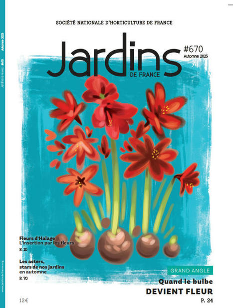 Quand le bulbe devient fleur - Jardins de France n°670 Automne 2023 | HORTICULTURE | Scoop.it