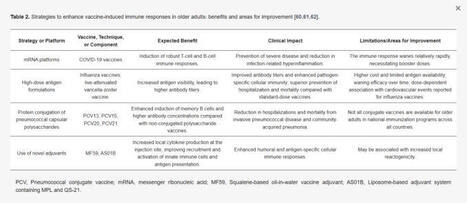 The remodeling of the immune system with age has significant implications for public health. Vaccines that are highly effective in children and young adults often elicit weaker responses in older&hellip; ... | Immunology and Biotherapies | Scoop.it