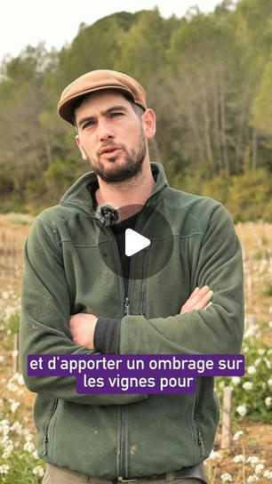 [Terre de vins on Instagram] "🌳 Jeune vigneron récemment installé au @domaine.de.bancel dans le Gard, Mathéo Jésus investit déjà dans la plantation d’arbres. Son domaine participe à #VITAM, un pro... | l'actuvin | Scoop.it