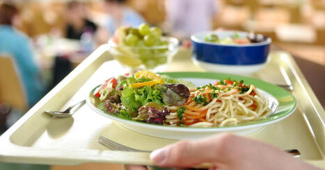 FOOD: New criteria for greener and healthier public canteen menus | ALIMENTATIONS | Scoop.it
