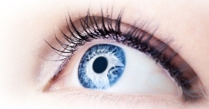 Restoring sight with wireless implants | Science News | Scoop.it