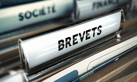 Portrait des petites et moyennes entreprises françaises déposantes de demandes de brevets | COOPERATIONS INTERNATIONALES FRANCOPHONES POUR LA TRANSITION ECOLOGIQUE | Scoop.it