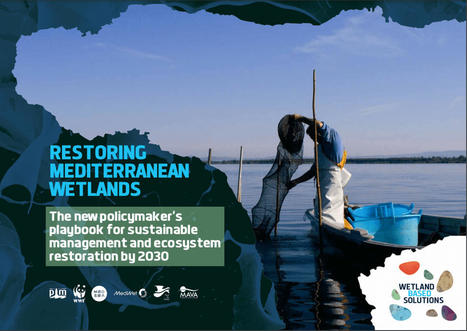 Restoring MEDITERRANEAN Wetlands: The new policymaker’s playbook for sustainable management and ecosystem restoration by 2030 | CIHEAM Press Review | Scoop.it