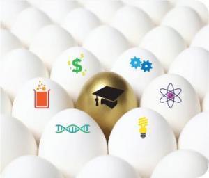 La universidad como el huevo de oro de nuestra sociedad | Ciencia-Física | Scoop.it
