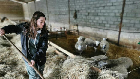[INP-Purpan] "Génération agriculteur" en Dordogne : Sabine Moynac | Que sont-ils devenus ? | Scoop.it