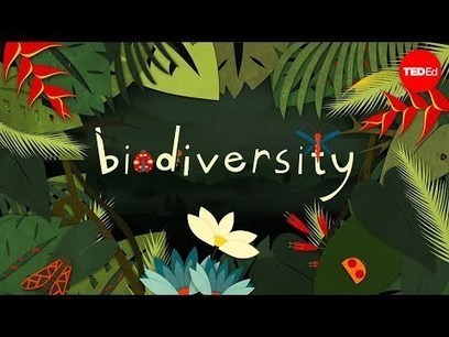 Earth School - An Immersive 30 Day Nature Adventure | Biodiversité | Scoop.it