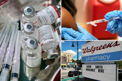 Federal agencies refuse to cooperate with Florida grand jury probing COVID-19 vaccines: report | Virology News | Scoop.it