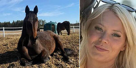 V&auml;ndningen: Varg l&aring;g bakom f&ouml;lattacken &bull; Wilma, 26: &rdquo;Mardr&ouml;mmar&rdquo; | 1Uutiset - Lukemisen t&auml;hden | Scoop.it