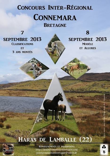 Régional Connemara Bretagne 2013 – Dimanche 8 septembre | Cheval et sport | Scoop.it
