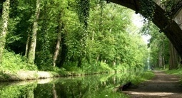 Milieux naturels : protéger Paris et la petite couronne –  – Environnement-magazine.fr | Regards croisés sur la transition écologique | Scoop.it