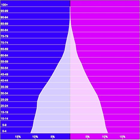 PopulationPyramid.net | SoRo class | Scoop.it