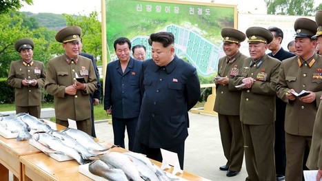 North Korea turning to human trafficking for foreign currency - MarketWatch | Human Rights | Scoop.it